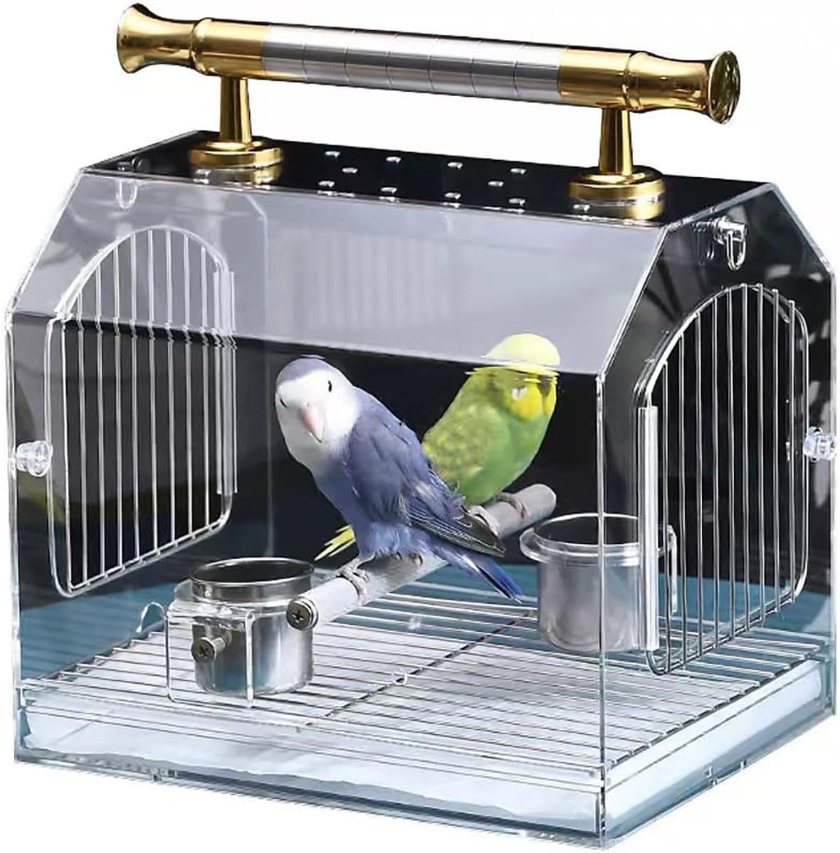 レア柄　ファイヤーキング　Cockatoo レア柄 ファイヤーキング Cockatoo レア柄 ファイヤーキング Cockatoo